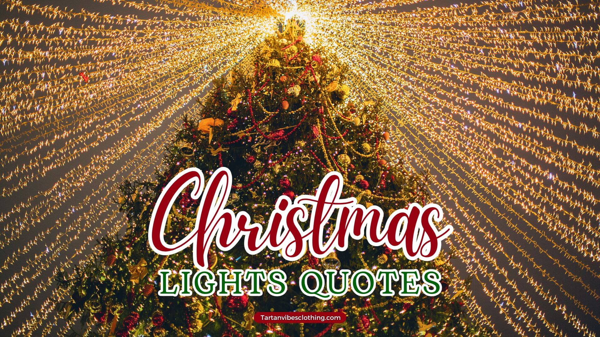 Christmas Lights Quotes