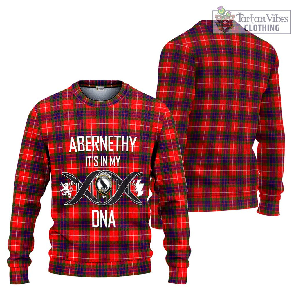 Abernethy Tartan Knitted Sweater with Family Crest DNA In Me Style Unisex - Tartanvibesclothing Shop