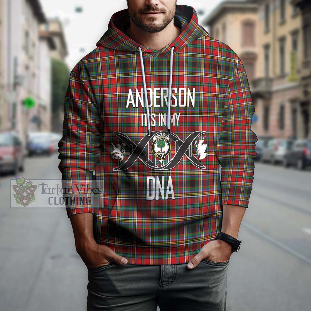 Anderson of Arbrake Tartan Hoodie with Family Crest DNA In Me Style Pullover Hoodie - Tartanvibesclothing Shop