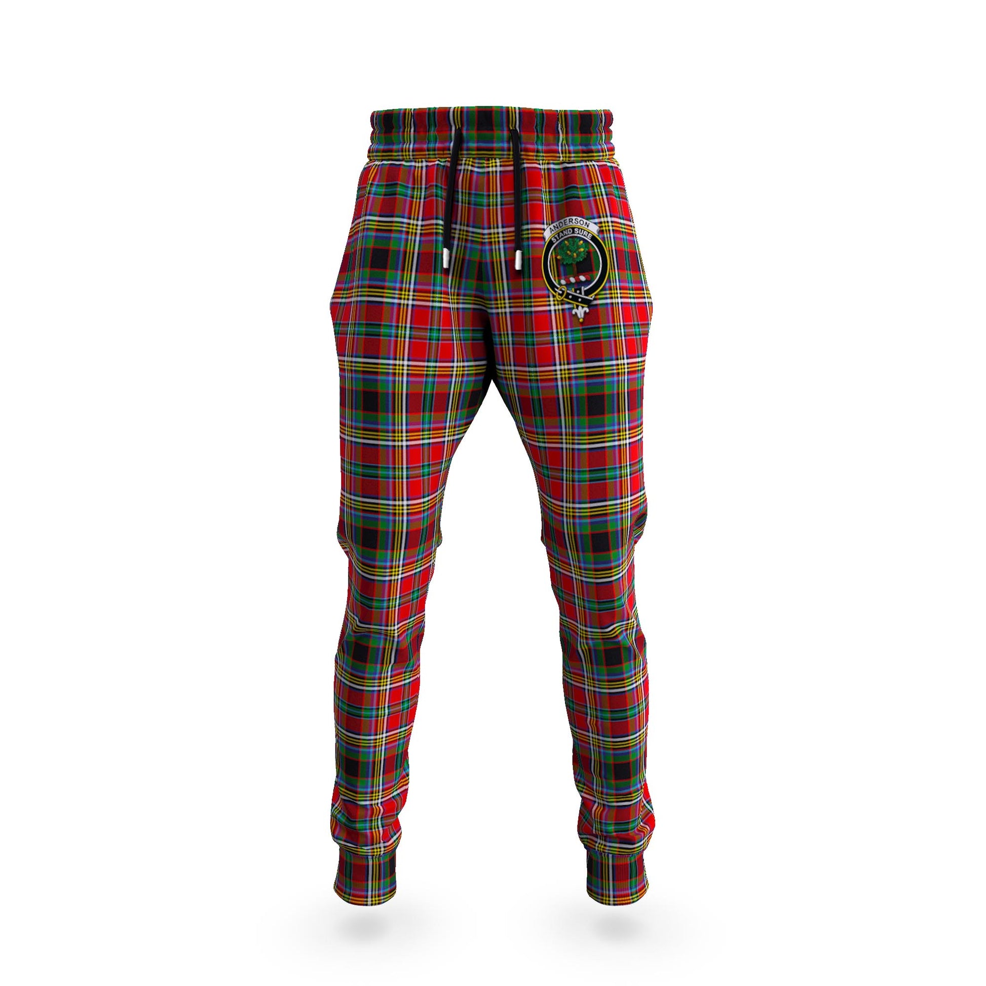 Anderson of Arbrake Tartan Joggers Pants with Family Crest 5XL - Tartan Vibes Clothing