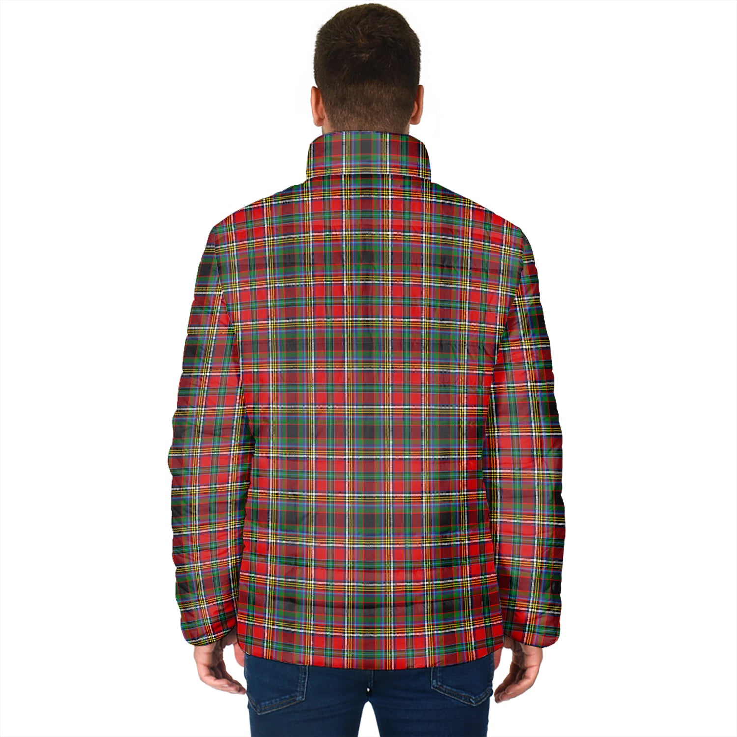 Anderson of Arbrake Tartan Padded Jacket with Family Crest - Tartan Vibes Clothing