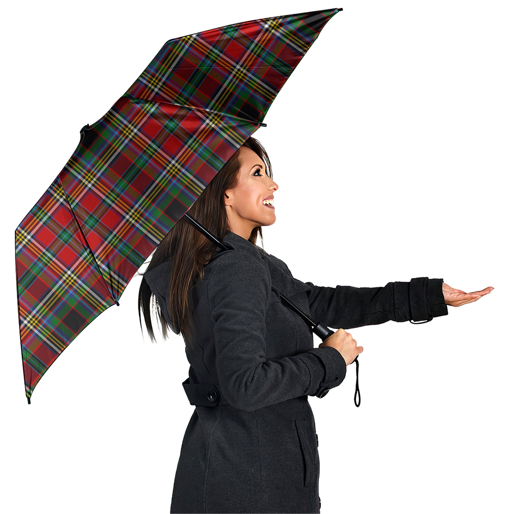 Anderson of Arbrake Tartan Umbrella - Tartanvibesclothing