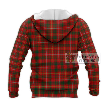 Bruce Tartan Knitted Hoodie with Family Crest DNA In Me Style