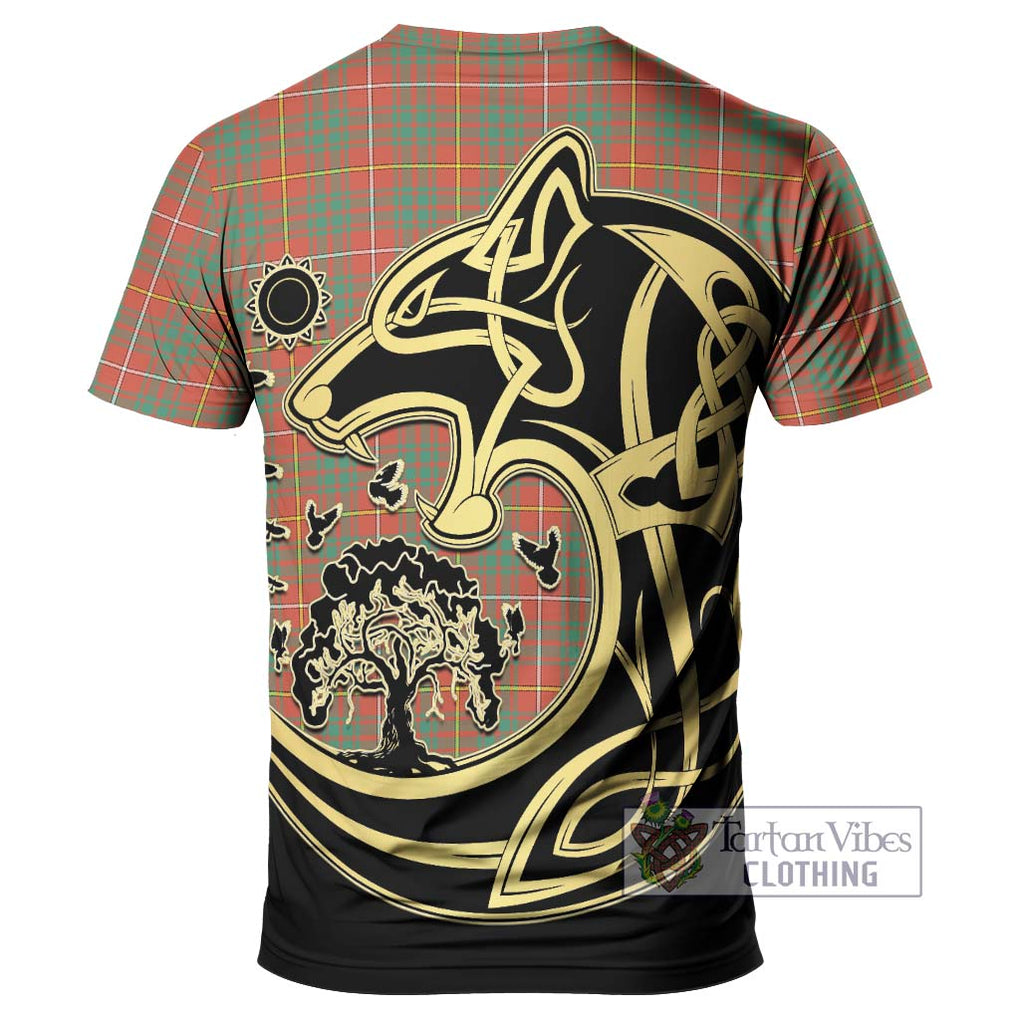 Bruce Ancient Tartan T-Shirt with Family Crest Celtic Wolf Style - Tartan Vibes Clothing