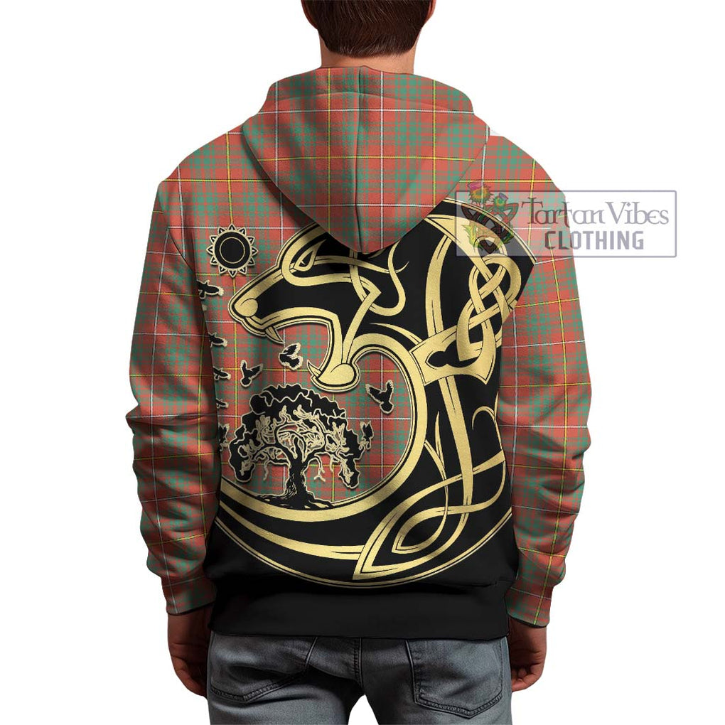 Bruce Ancient Tartan Hoodie with Family Crest Celtic Wolf Style - Tartan Vibes Clothing