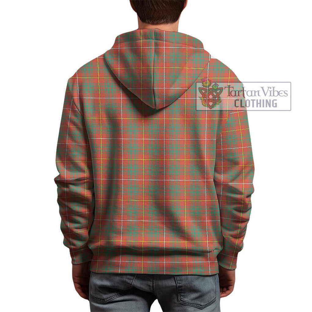 Bruce Ancient Tartan Hoodie with Family Crest DNA In Me Style - Tartanvibesclothing Shop