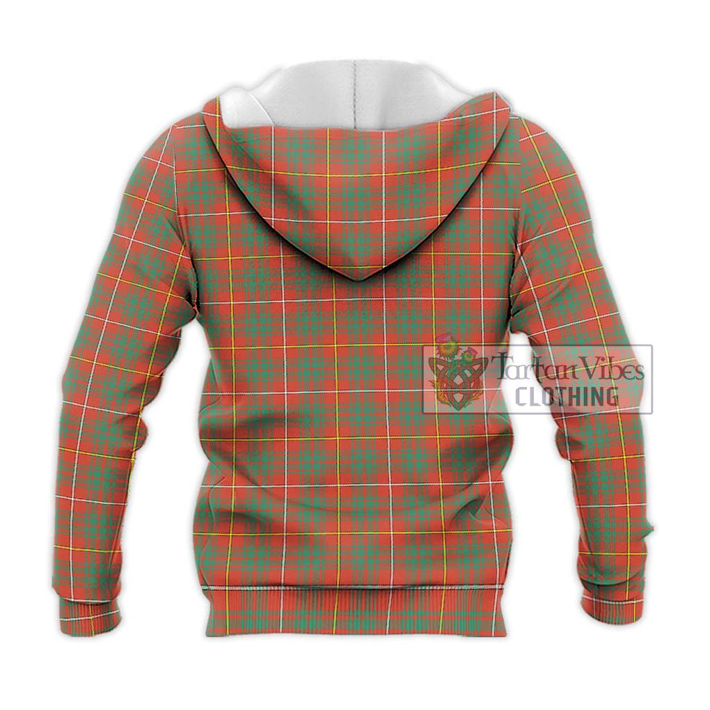 Bruce Ancient Tartan Knitted Hoodie with Family Crest DNA In Me Style - Tartanvibesclothing Shop