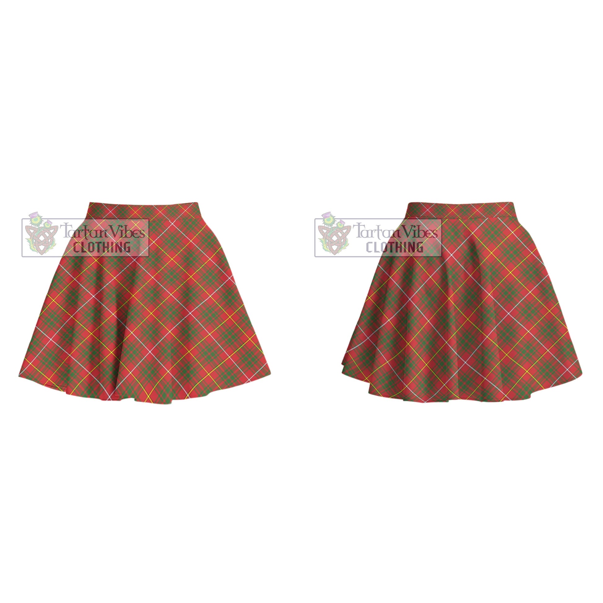 Tartan Vibes Clothing Bruce County Canada Tartan Women's Plated Mini Skirt