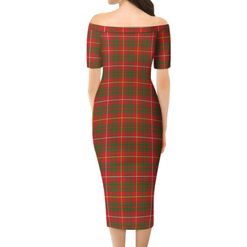 Bruce Modern Tartan Off Shoulder Lady Dress