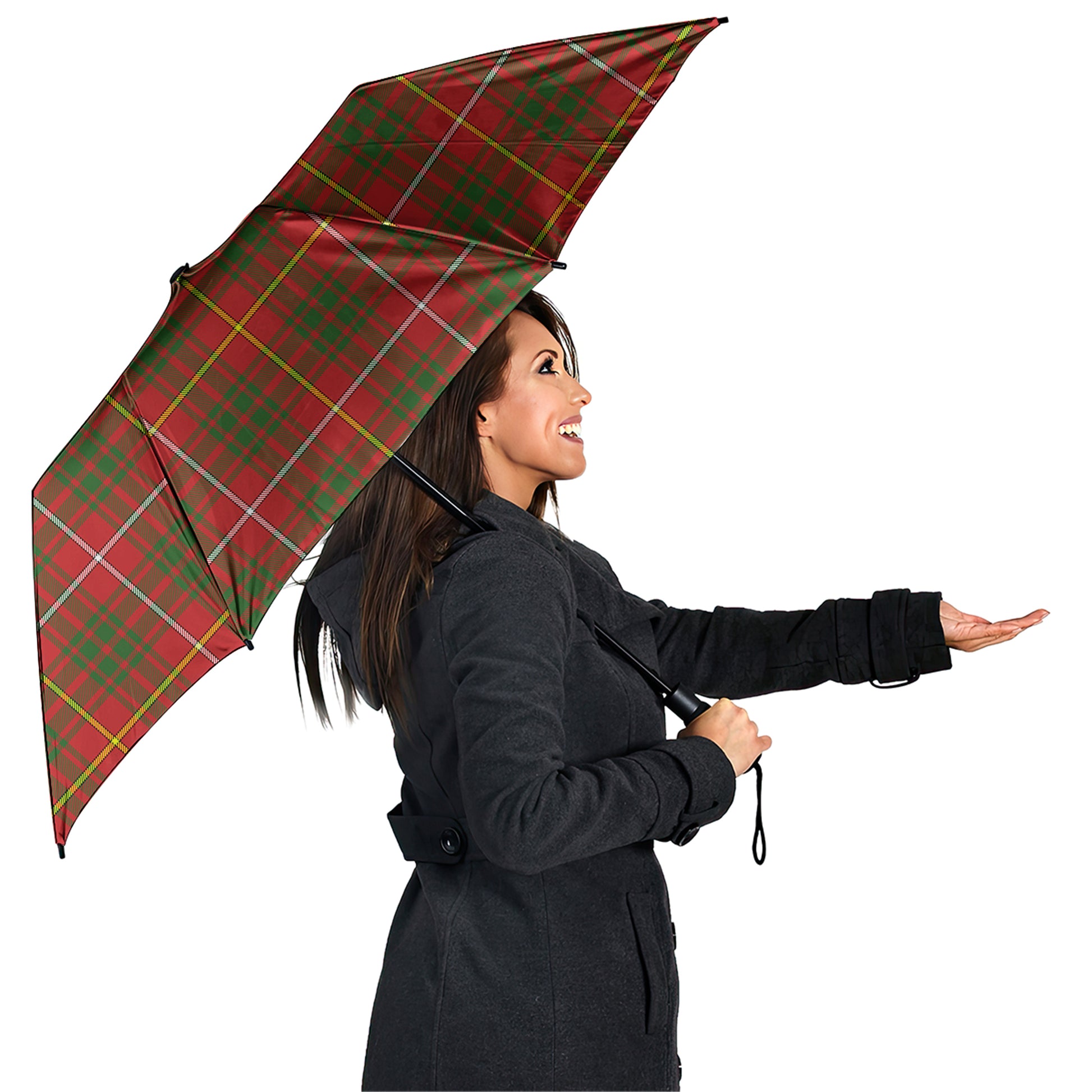 Bruce Modern Tartan Umbrella - Tartanvibesclothing