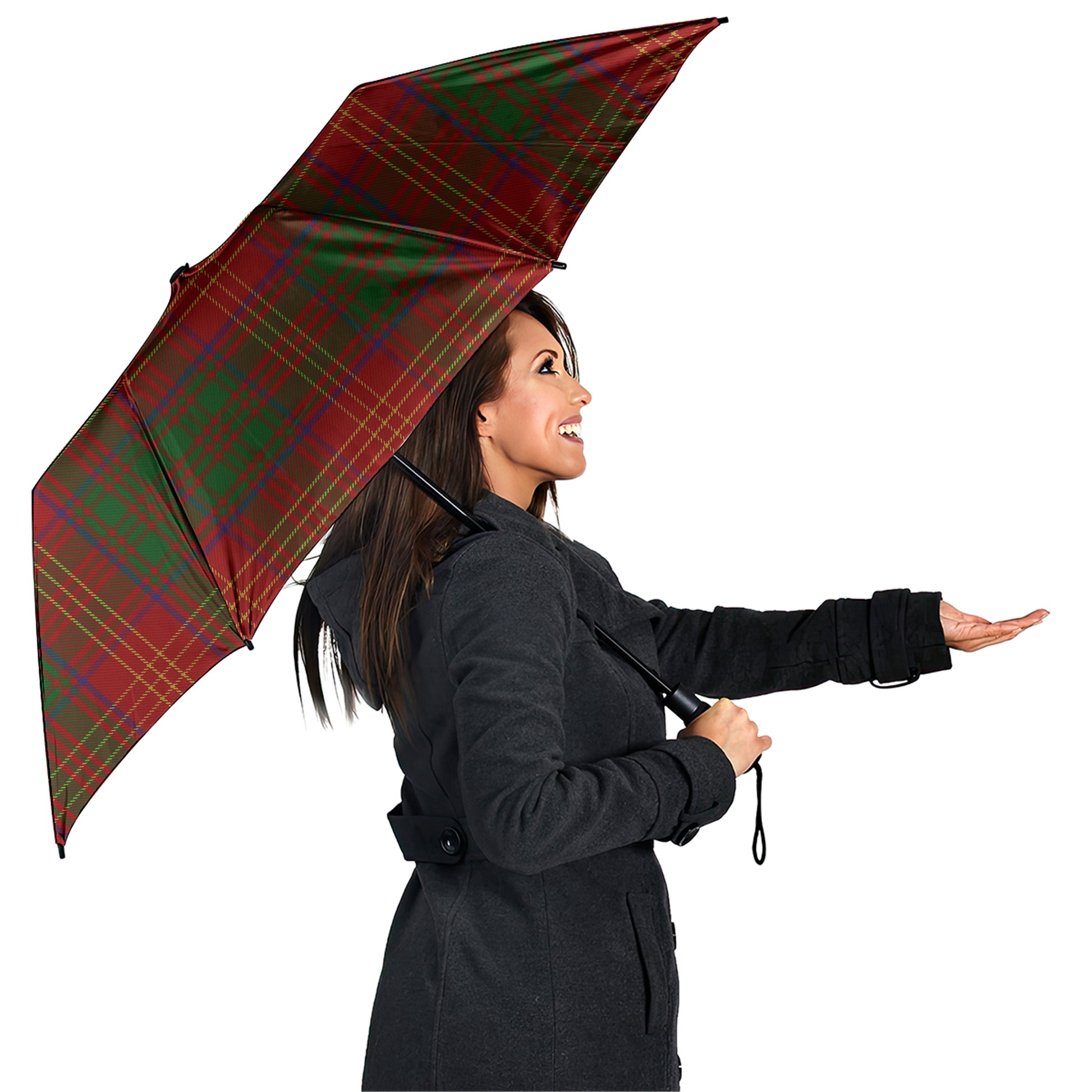 Burns Tartan Umbrella - Tartanvibesclothing