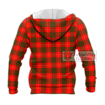 Cameron Modern Tartan Knitted Hoodie with Family Crest DNA In Me Style