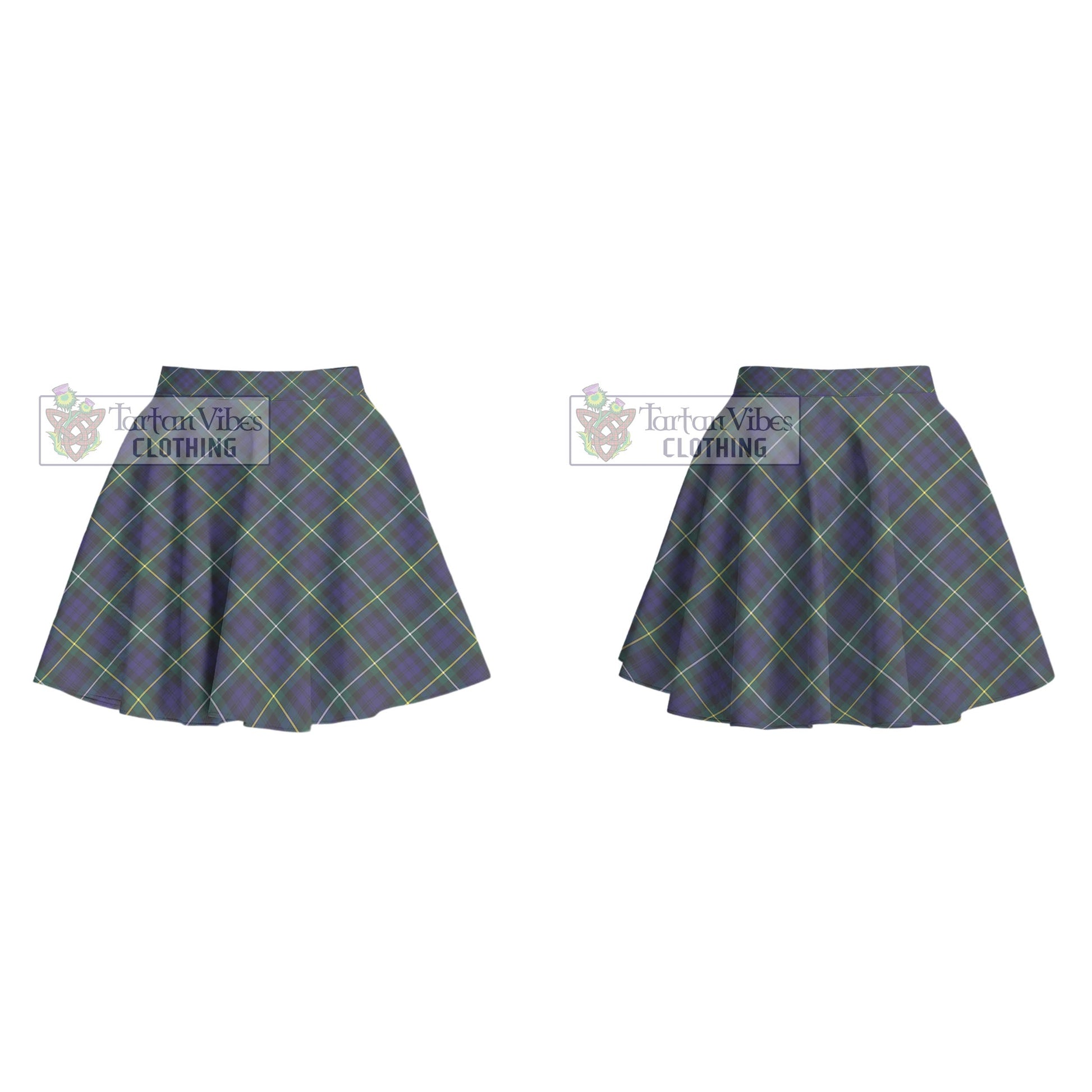 Tartan Vibes Clothing Campbell Argyll Modern Tartan Women's Plated Mini Skirt