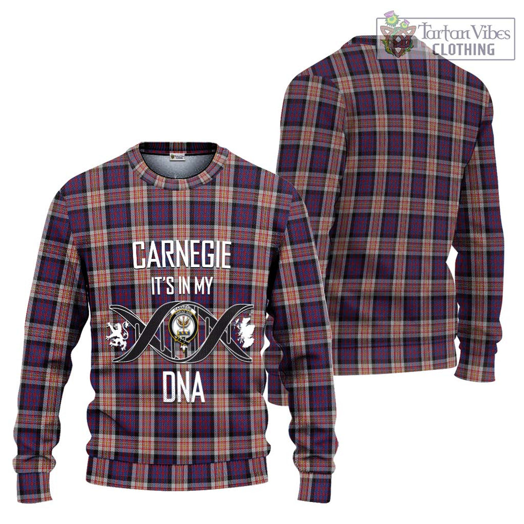 Carnegie Tartan Knitted Sweater with Family Crest DNA In Me Style Unisex - Tartanvibesclothing Shop