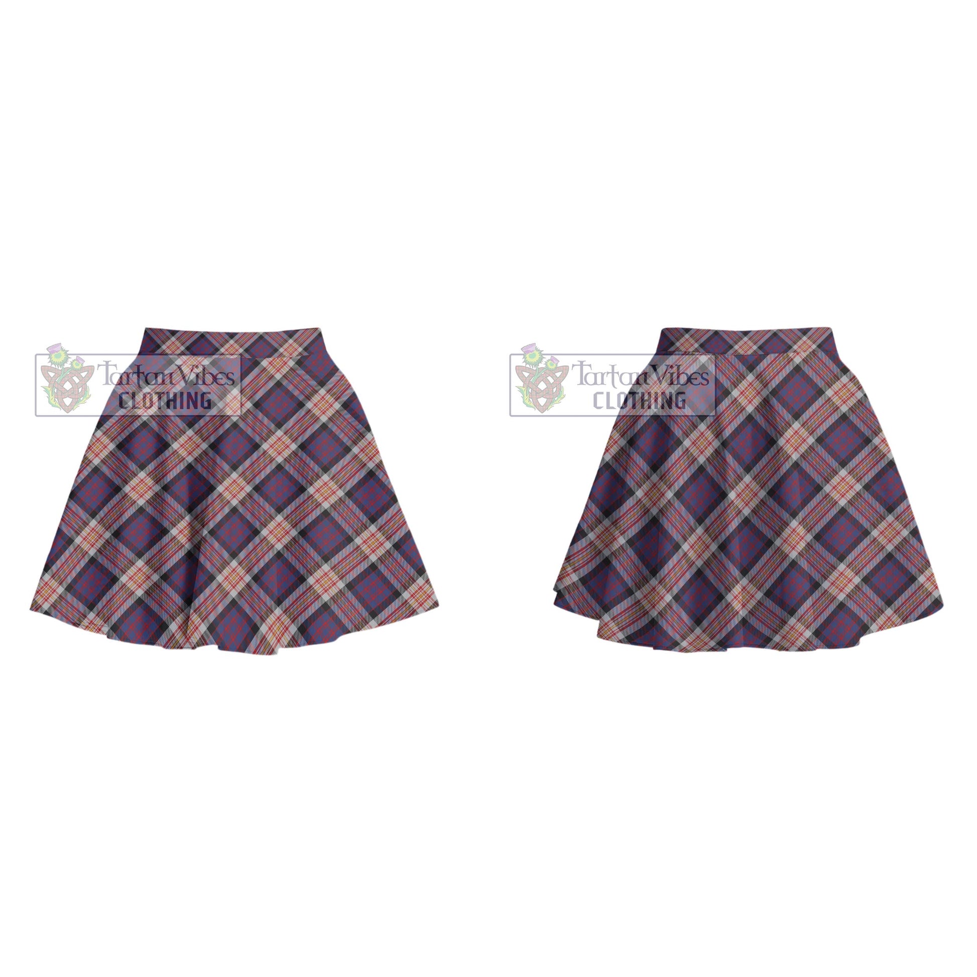 Tartan Vibes Clothing Carnegie Tartan Women's Plated Mini Skirt