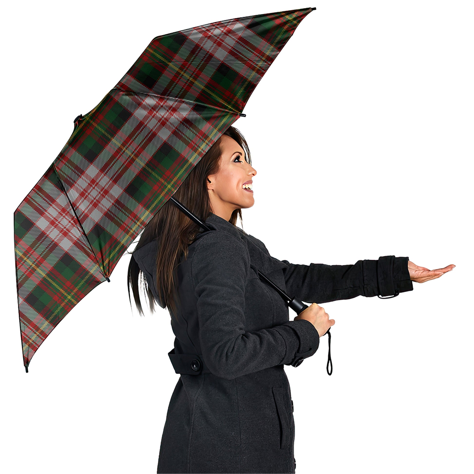 Carnegie Dress Tartan Umbrella - Tartanvibesclothing