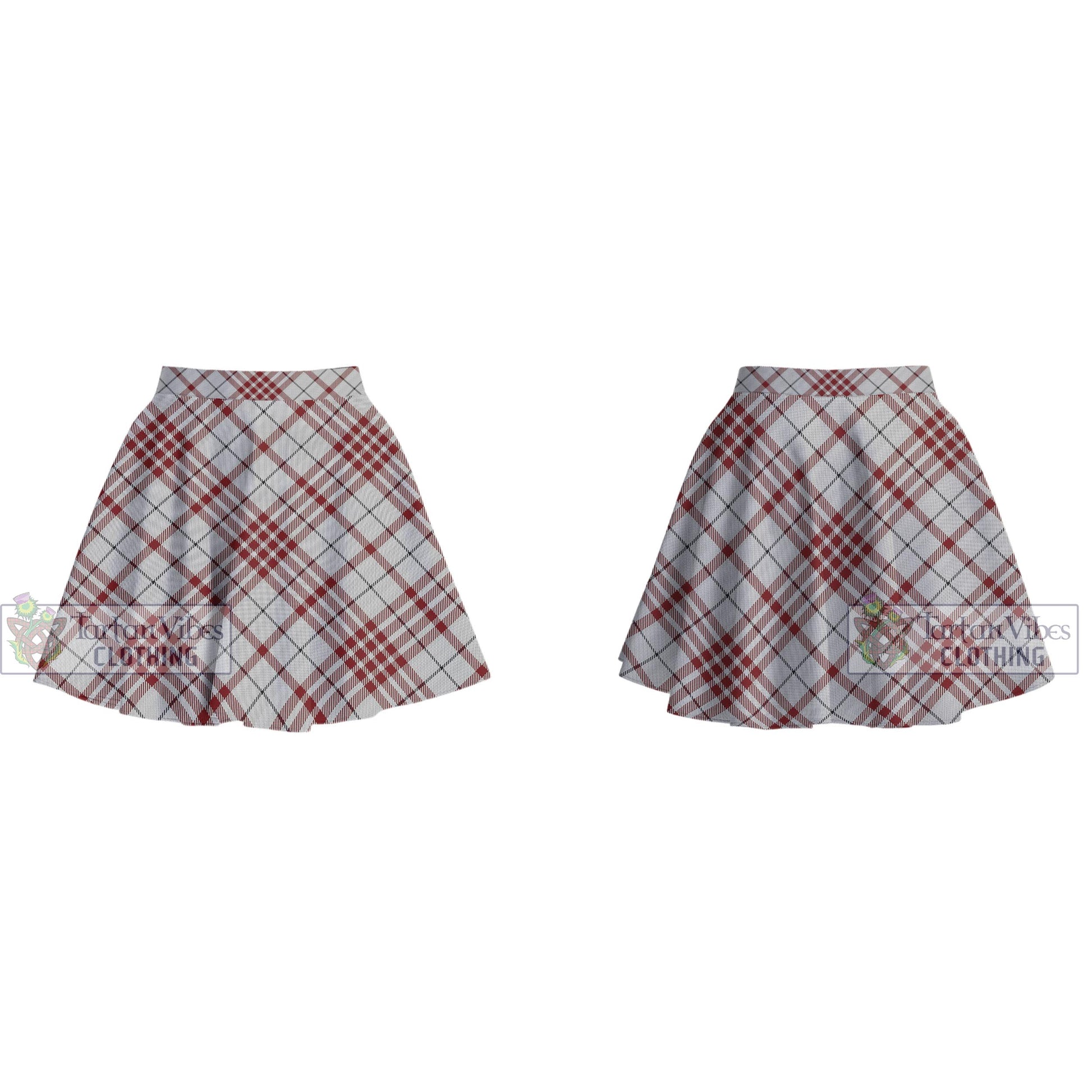 Tartan Vibes Clothing Clayton Tartan Women's Plated Mini Skirt