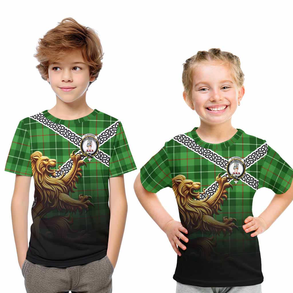 Clephane (Clephan) Crest Tartan Kid T-Shirt with Golden Lion Emblem Celtic Style Youth XL Size14 - Tartan Vibes Clothing
