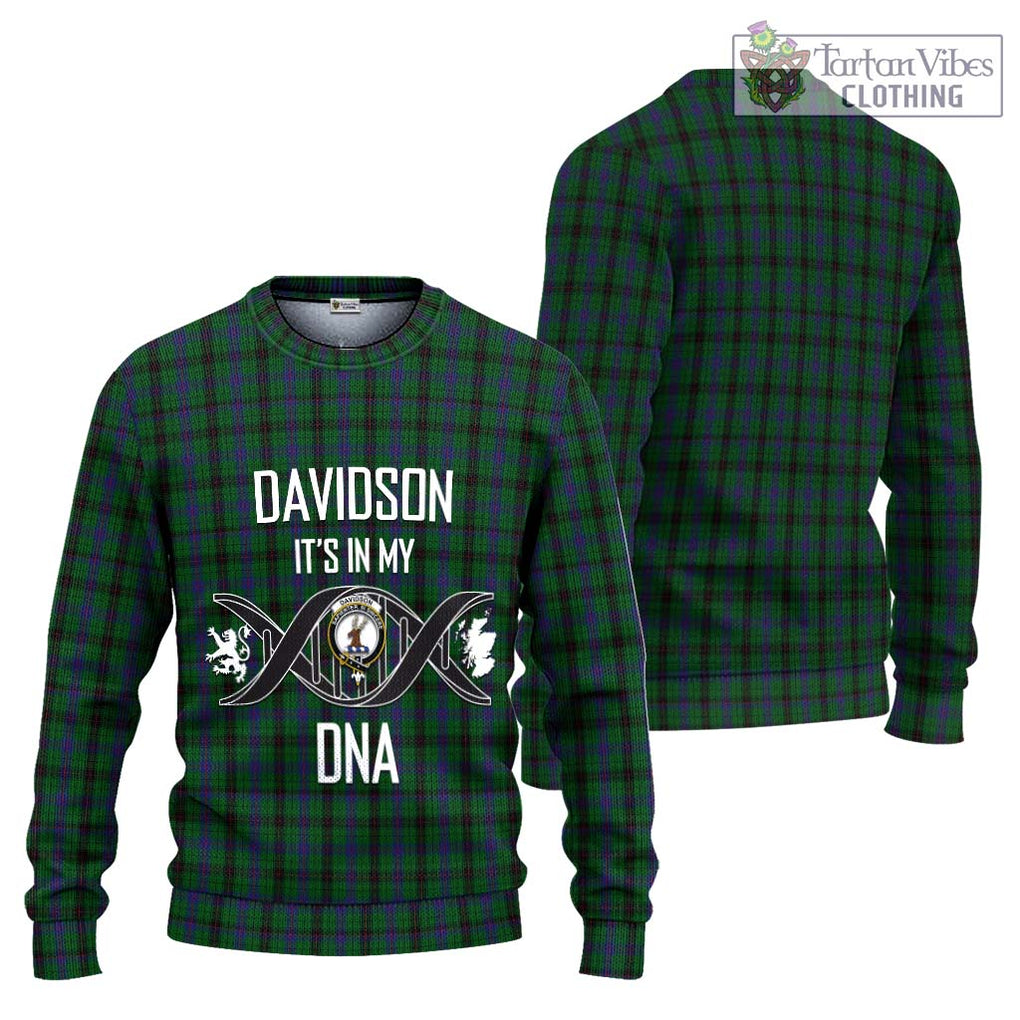 Davidson Tartan Knitted Sweater with Family Crest DNA In Me Style Unisex - Tartanvibesclothing Shop