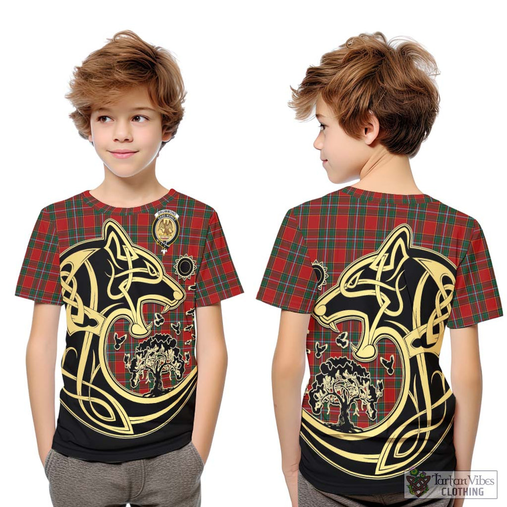 Drummond Ancient Tartan Kid T-Shirt with Family Crest Celtic Wolf Style Youth XL Size14 - Tartan Vibes Clothing