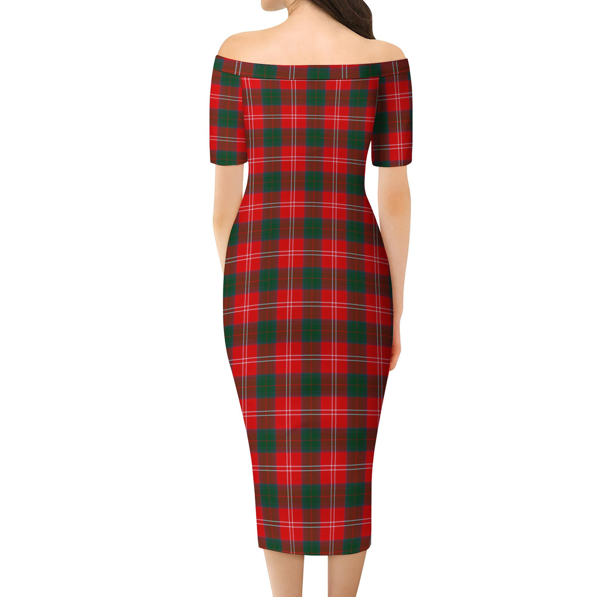 Fenton Tartan Off Shoulder Lady Dress - Tartan Vibes Clothing