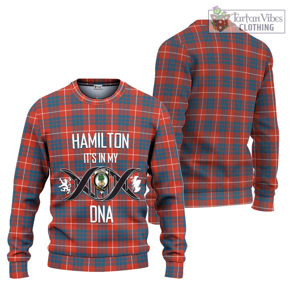 Hamilton Ancient Tartan Knitted Sweater with Family Crest DNA In Me Style Unisex - Tartanvibesclothing Shop