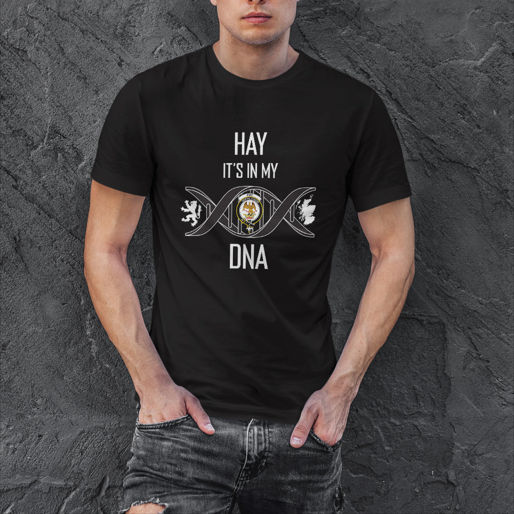 hay-family-crest-dna-in-me-mens-t-shirt