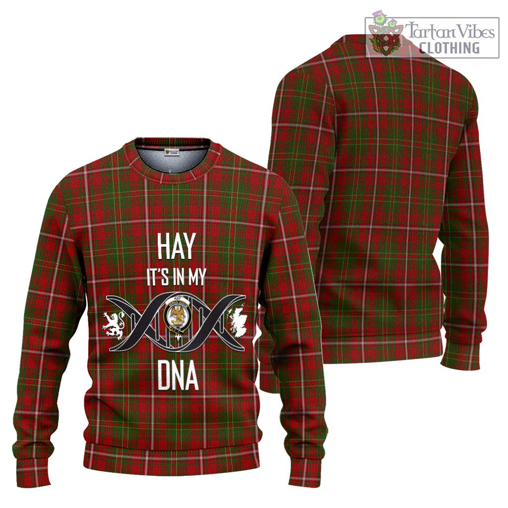 Hay Tartan Knitted Sweater with Family Crest DNA In Me Style Unisex - Tartanvibesclothing Shop