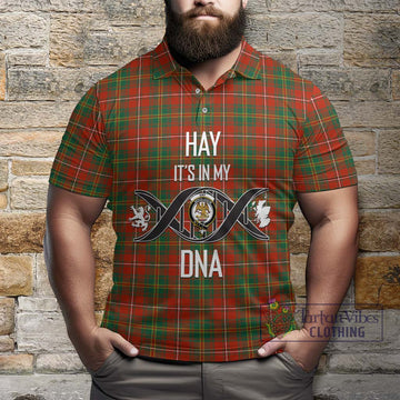 Hay Ancient Tartan Polo Shirt with Family Crest DNA In Me Style