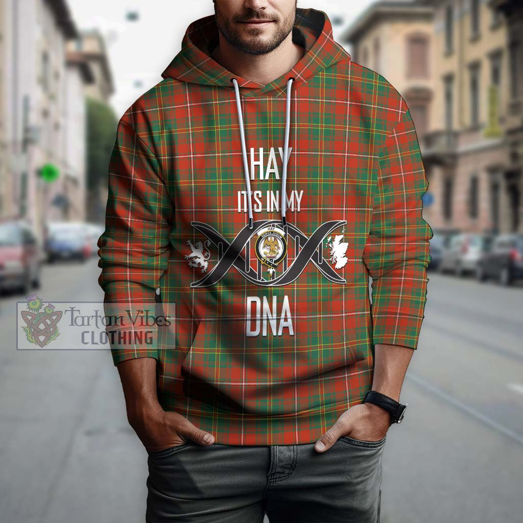 Hay Ancient Tartan Hoodie with Family Crest DNA In Me Style Pullover Hoodie - Tartanvibesclothing Shop