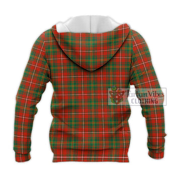 Hay Ancient Tartan Knitted Hoodie with Family Crest DNA In Me Style