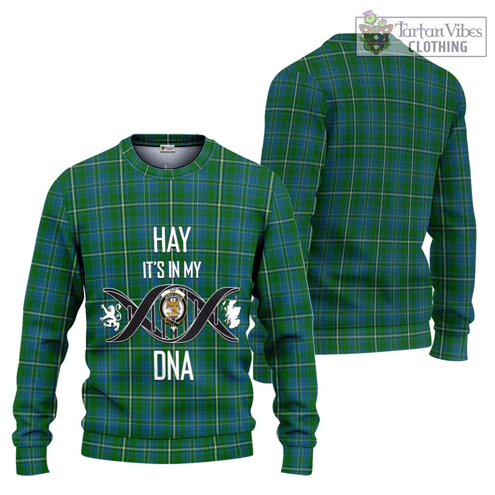 Hay Hunting Tartan Knitted Sweater with Family Crest DNA In Me Style Unisex - Tartanvibesclothing Shop