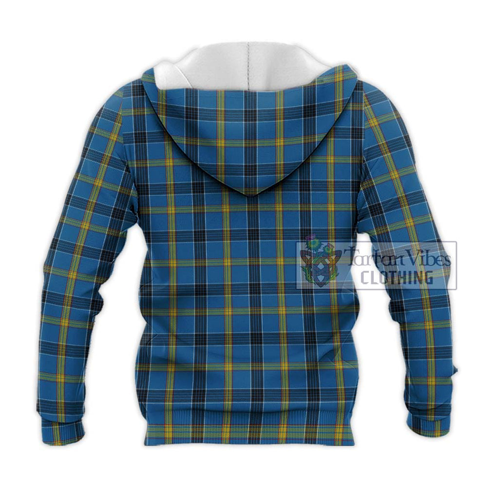 Laing Tartan Knitted Hoodie with Family Crest DNA In Me Style - Tartanvibesclothing Shop