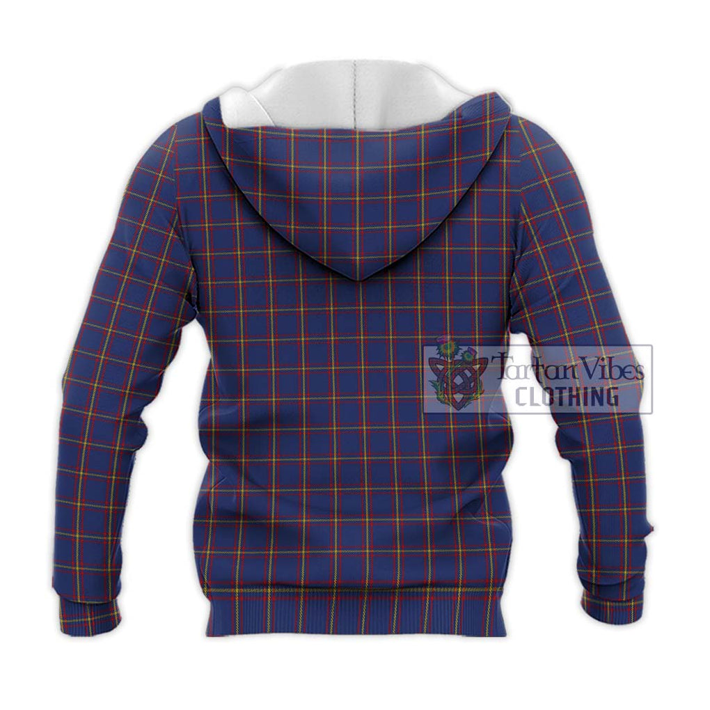 MacLaine of Lochbuie Tartan Knitted Hoodie with Family Crest DNA In Me Style - Tartanvibesclothing Shop