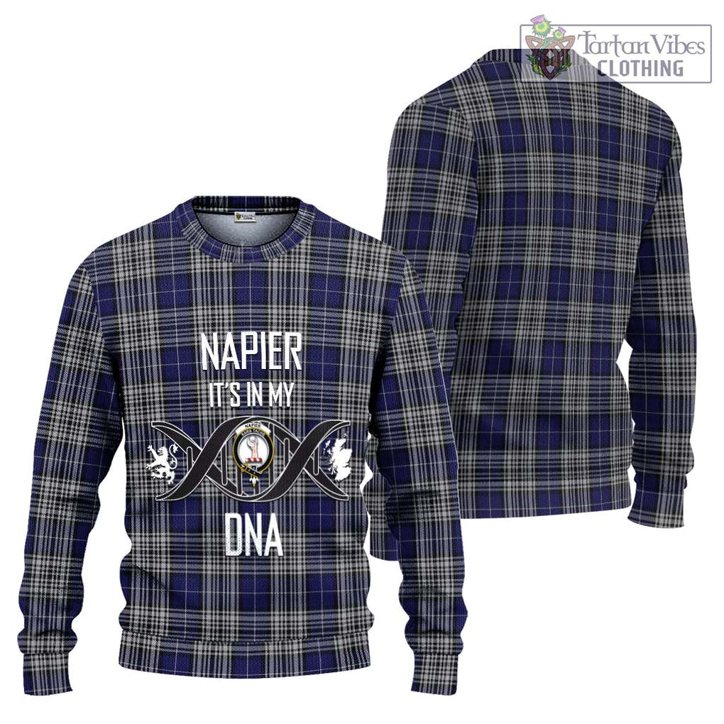 Napier Tartan Knitted Sweater with Family Crest DNA In Me Style Unisex - Tartanvibesclothing Shop