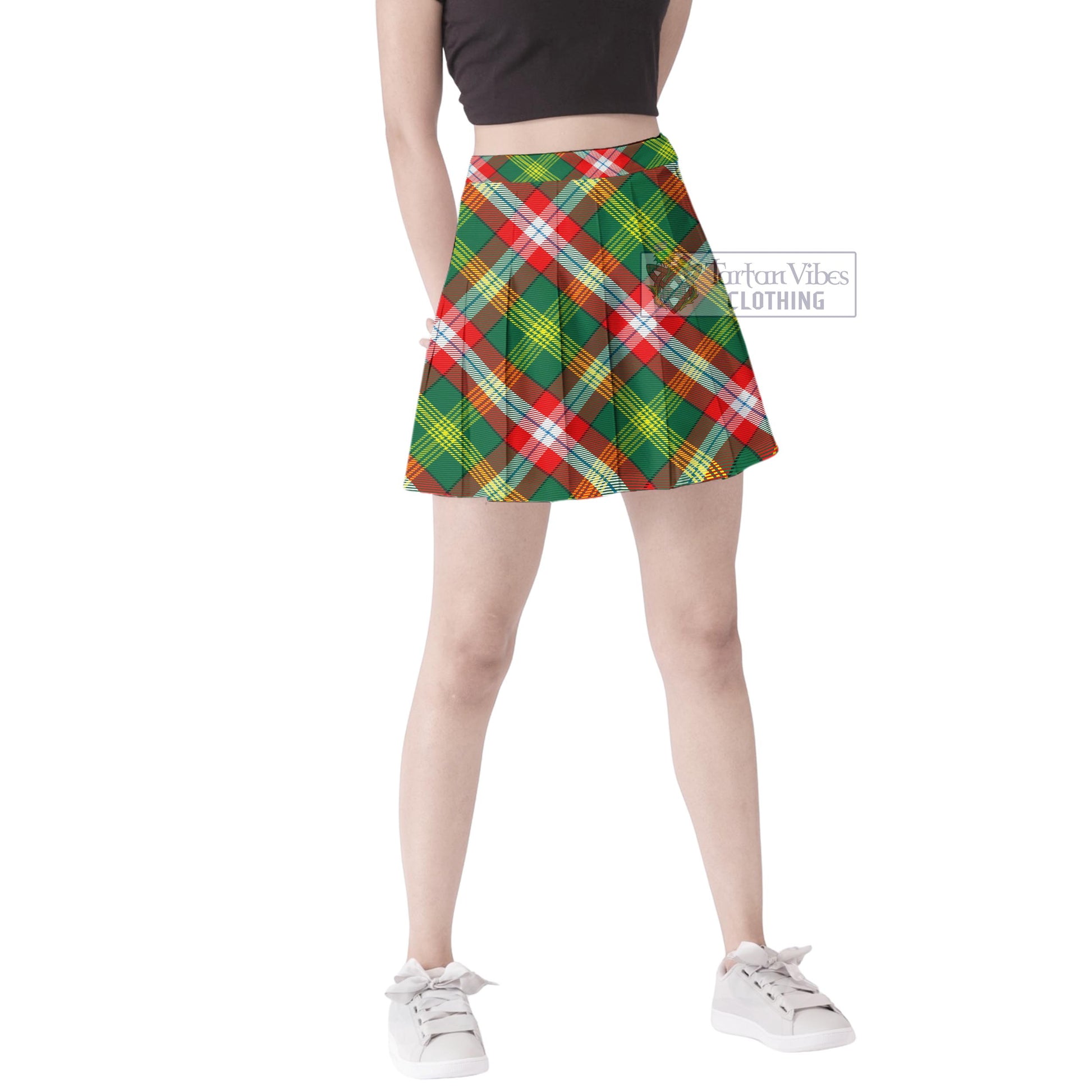 Tartan Vibes Clothing Northwest Territories Canada Tartan Women's Plated Mini Skirt