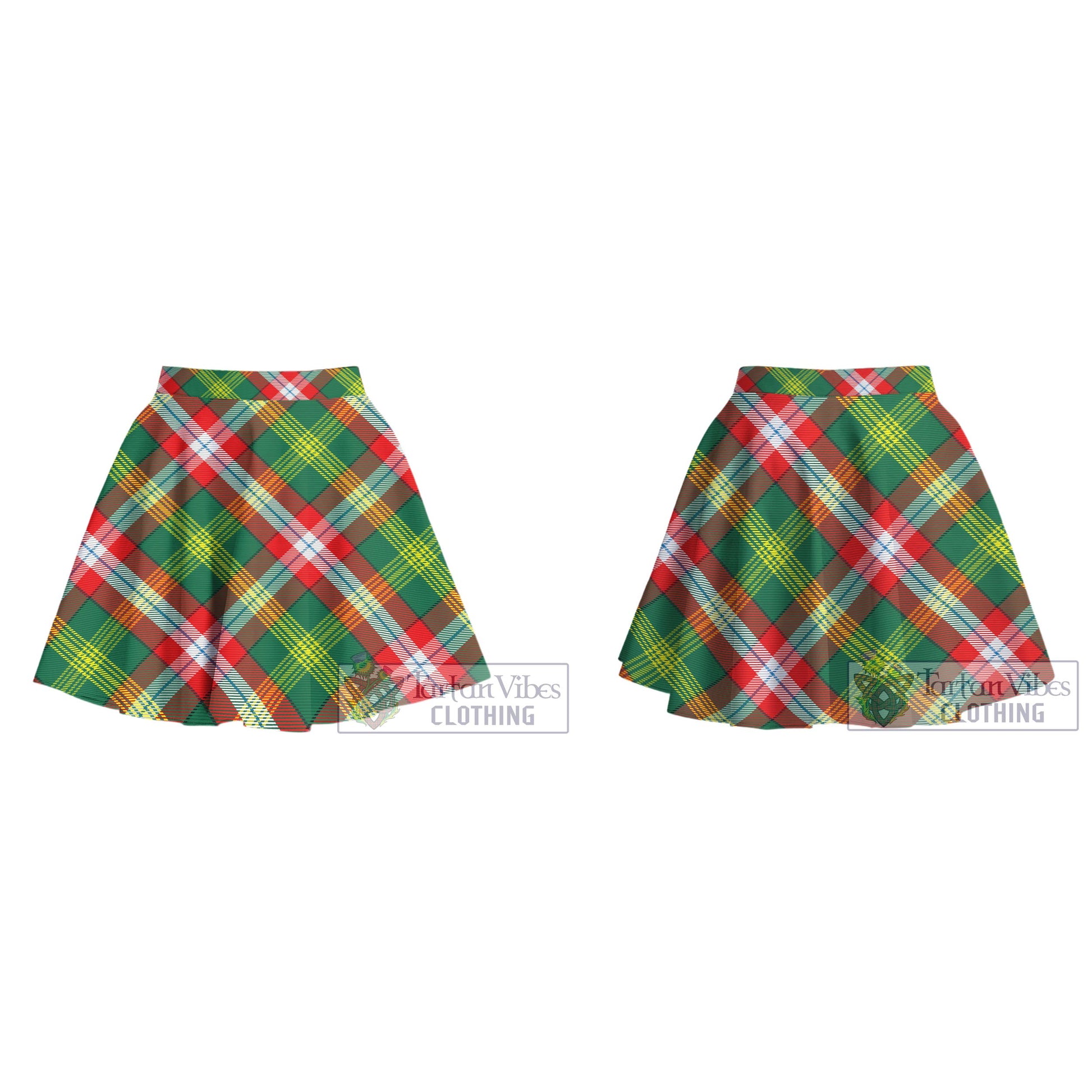 Tartan Vibes Clothing Northwest Territories Canada Tartan Women's Plated Mini Skirt