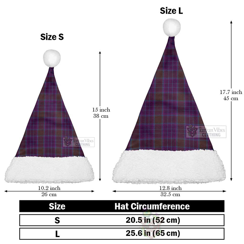 Phillips Tartan Christmas Santa Hats Christmas Hat L 25.6in (65cm) - Tartan Vibes Clothing