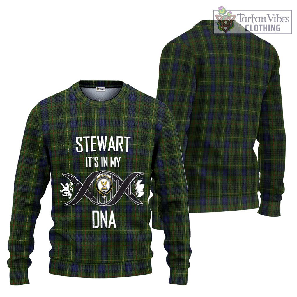 Stewart Hunting Tartan Knitted Sweater with Family Crest DNA In Me Style Unisex - Tartanvibesclothing Shop