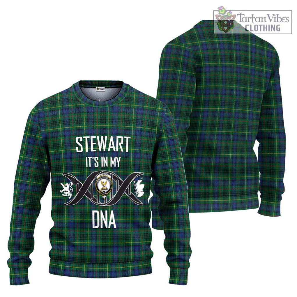 Stewart Hunting Modern Tartan Knitted Sweater with Family Crest DNA In Me Style Unisex - Tartanvibesclothing Shop