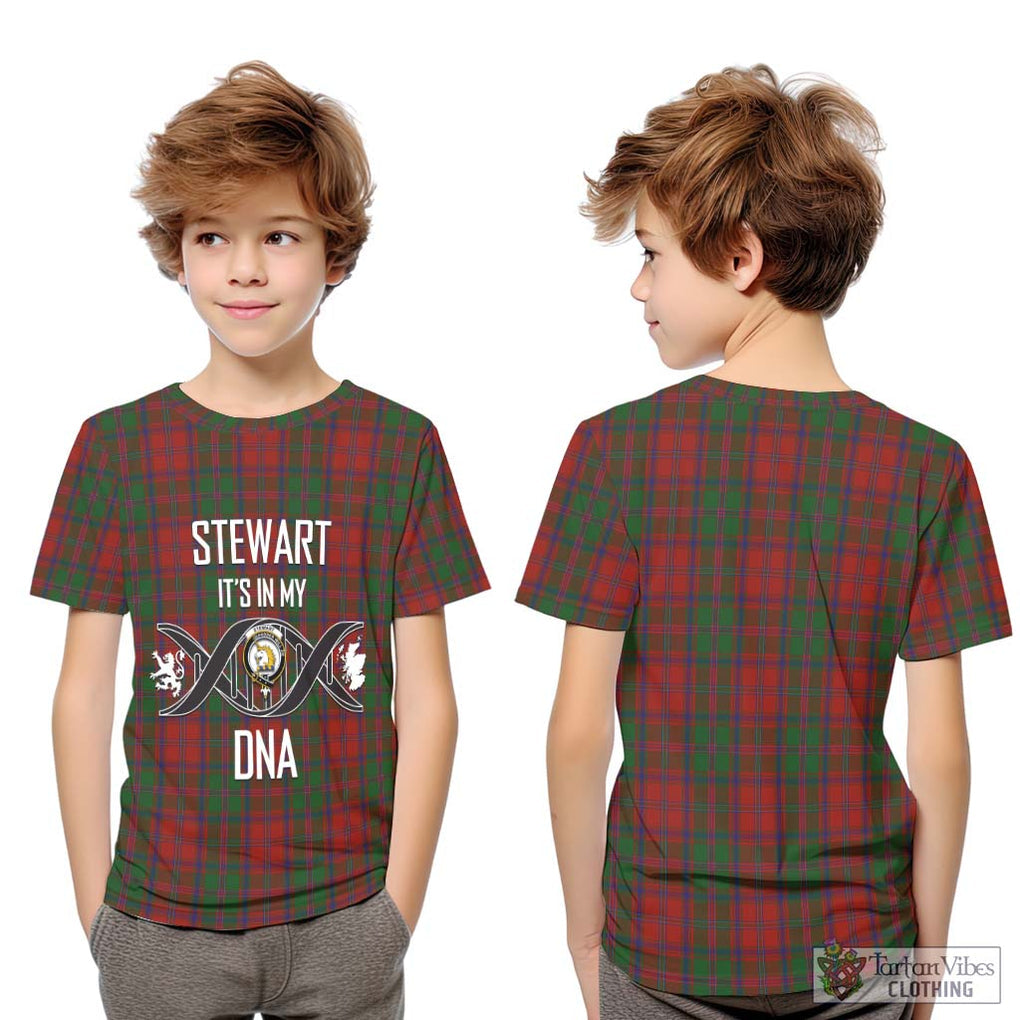 Stewart (Stuart) of Appin Tartan Kid T-Shirt with Family Crest DNA In Me Style Youth XL Size14 - Tartanvibesclothing Shop