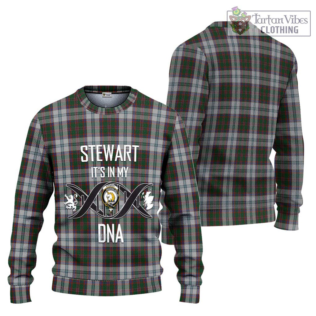 Stewart of Appin Dress Tartan Knitted Sweater with Family Crest DNA In Me Style Unisex - Tartanvibesclothing Shop