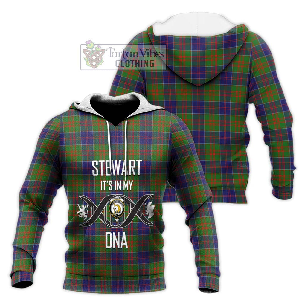 Stewart of Appin Hunting Modern Tartan Knitted Hoodie with Family Crest DNA In Me Style Unisex Knitted Pullover Hoodie - Tartanvibesclothing Shop