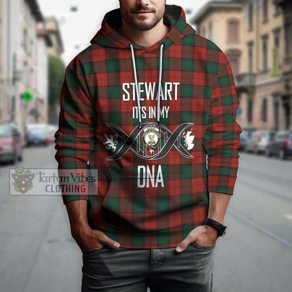 Stewart of Atholl Tartan Hoodie with Family Crest DNA In Me Style Pullover Hoodie - Tartanvibesclothing Shop