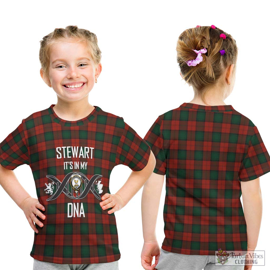 Stewart of Atholl Tartan Kid T-Shirt with Family Crest DNA In Me Style - Tartanvibesclothing Shop