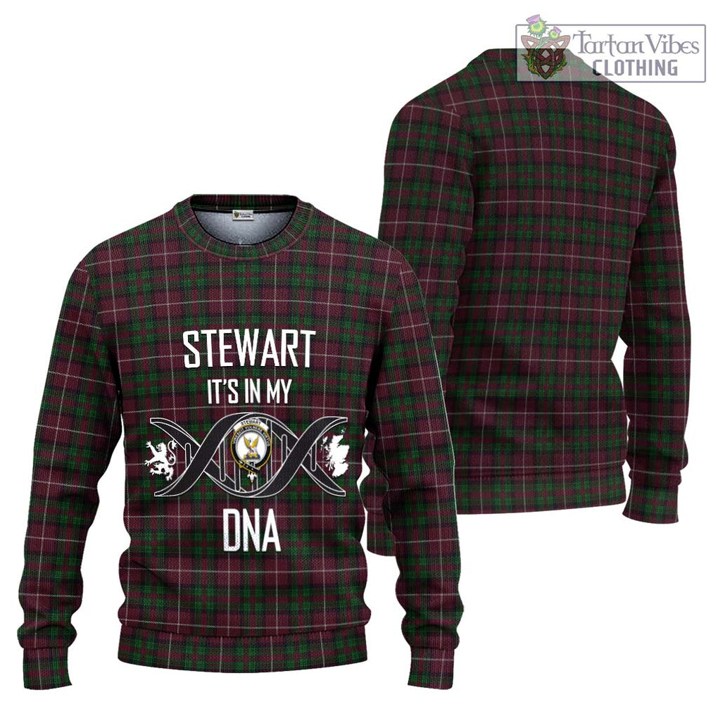 Stewart of Bute Hunting Tartan Knitted Sweater with Family Crest DNA In Me Style Unisex - Tartanvibesclothing Shop