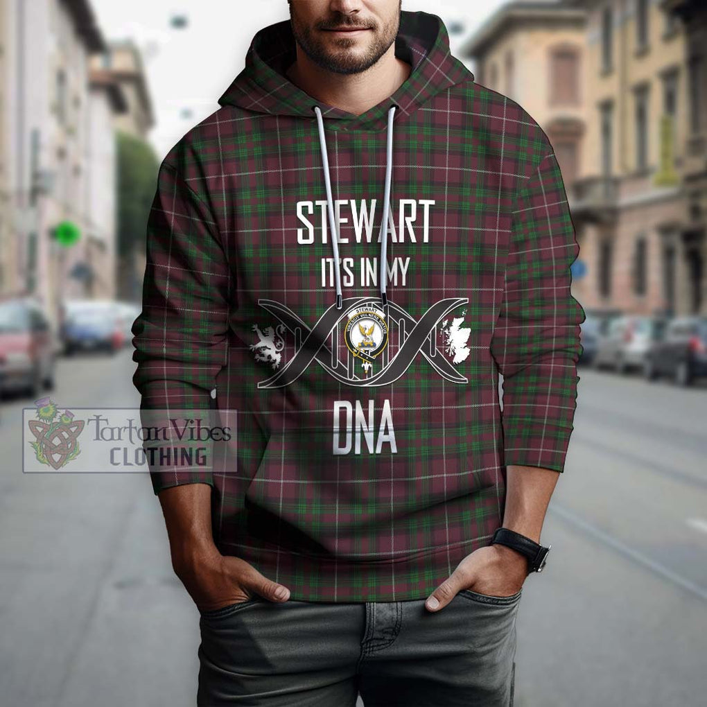 Stewart of Bute Hunting Tartan Hoodie with Family Crest DNA In Me Style Pullover Hoodie - Tartanvibesclothing Shop