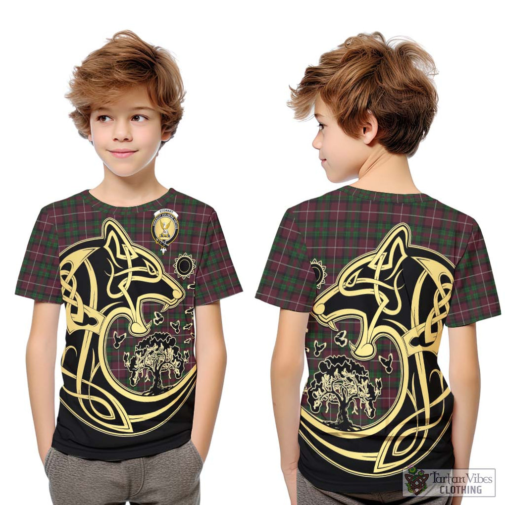 Stewart of Bute Hunting Tartan Kid T-Shirt with Family Crest Celtic Wolf Style Youth XL Size14 - Tartan Vibes Clothing