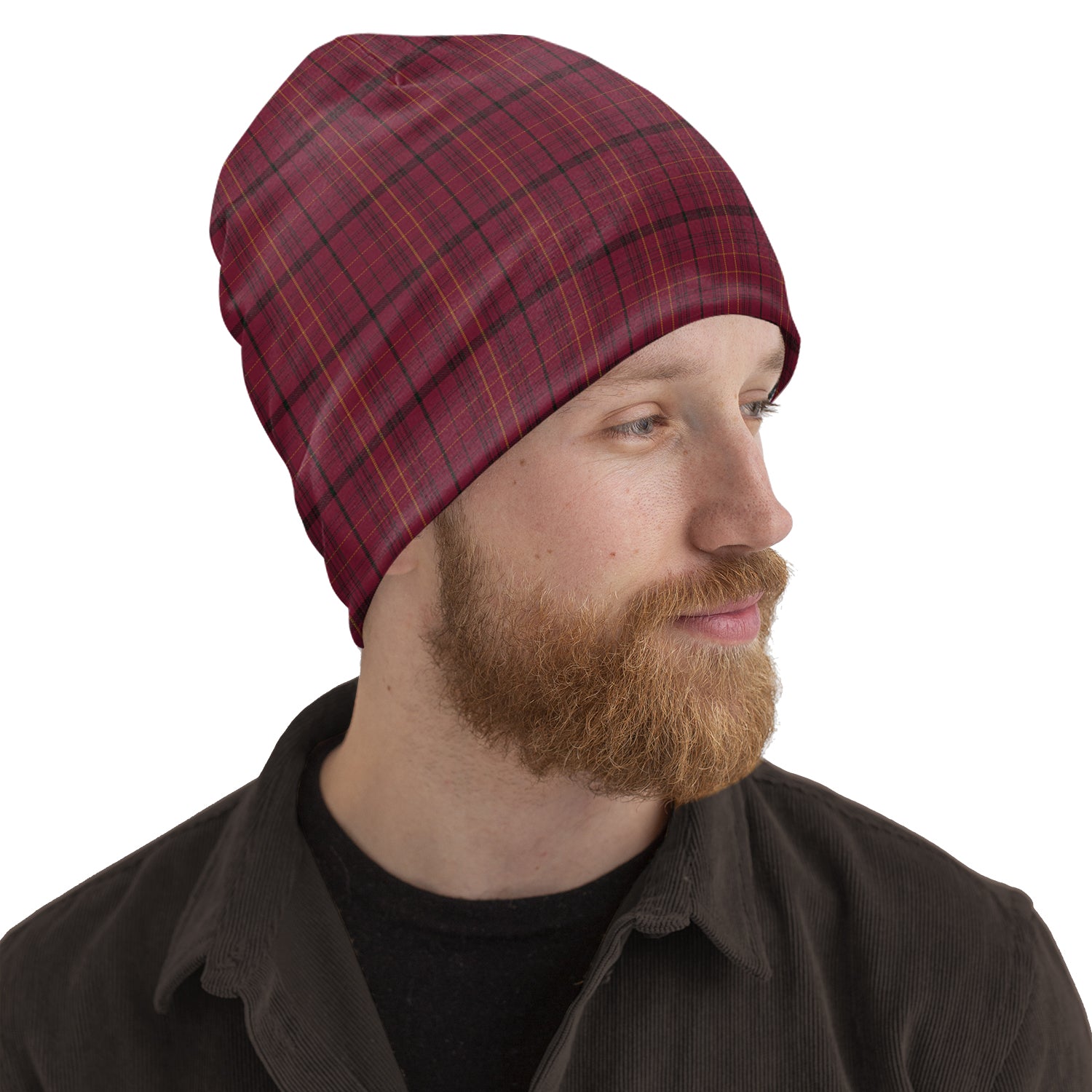 Williams of Wales Tartan Beanies Hat - Tartan Vibes Clothing